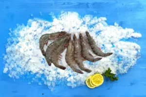 Γαρίδες Black Tiger