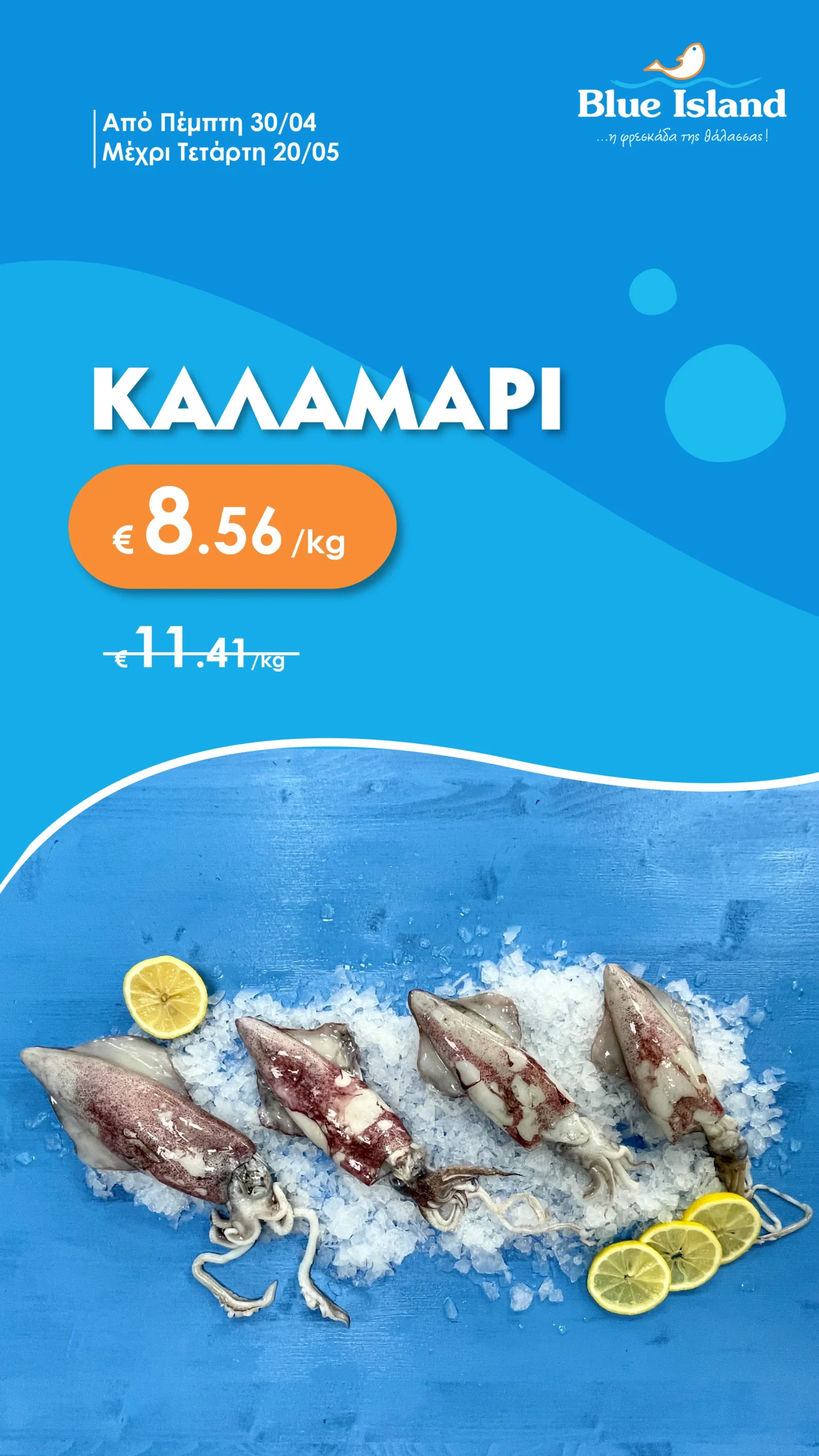 Blue Island Fish Offers_Blue Island Story Kalamari