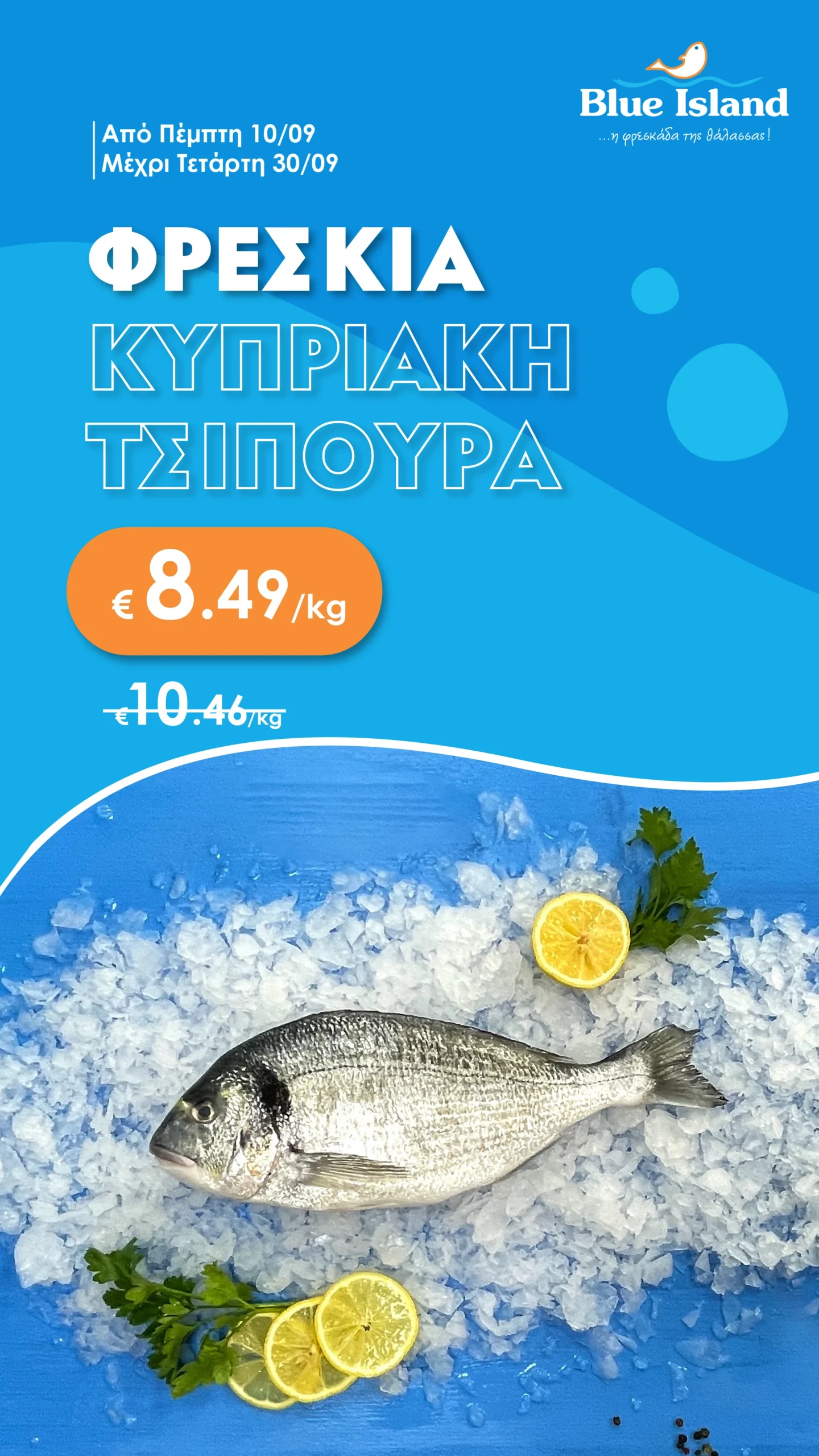 Blue Island Fish Offers_Blue Island Story tsipoura-08